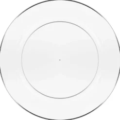 Assiette d23cm x10 plastique reu