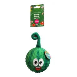 Balle fruit pour chien