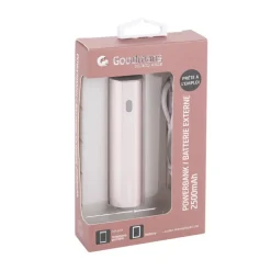 Batterie de secours 2500mah