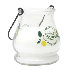Bougie citronnelle led color cha