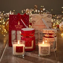 Bougies chauffe plat x12