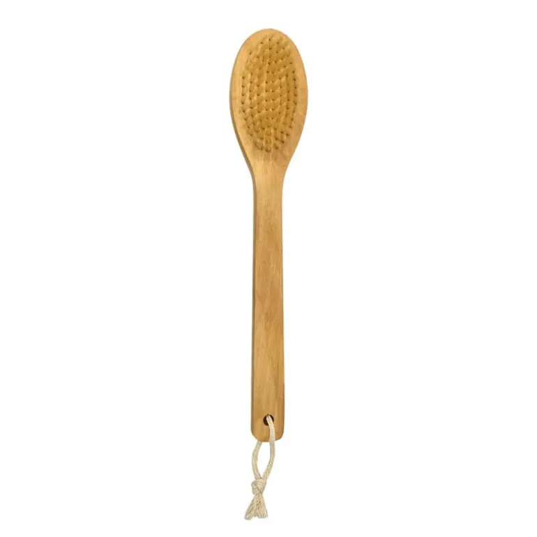 Brosse de massage pour le dos