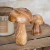 Champignon bois l