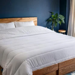 Couette 260x240 anti punaise ant