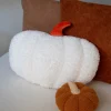 Coussin plat citrouille 45x40cm