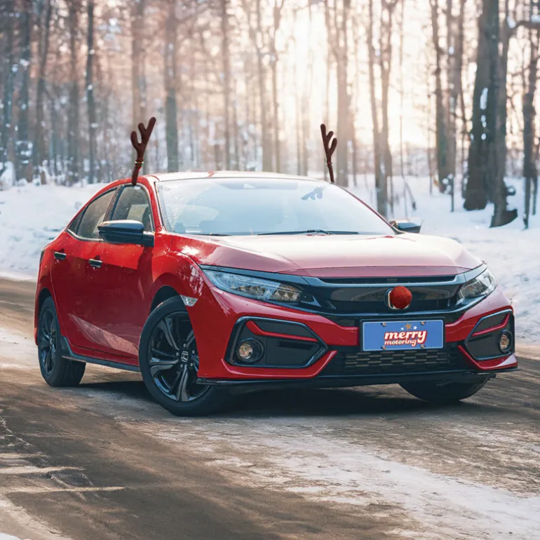 Decoration auto renne