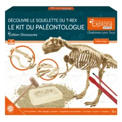 Explora paleontologue - stegosau