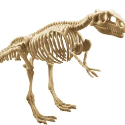 Explora paleontologue - stegosau