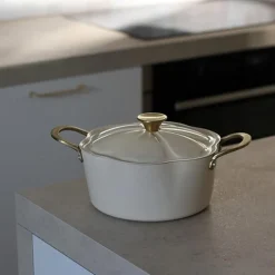 Faitout en forme de fleur dahlia