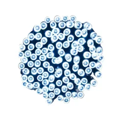 Guirlande 400 led blanc froid