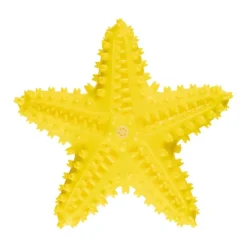Jouet etoile de mer pour chien