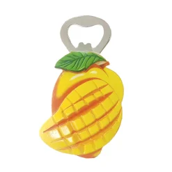 Magnets decapsuleur fruits