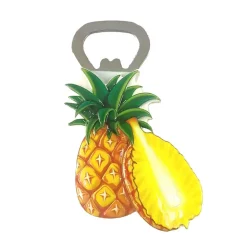 Magnets decapsuleur fruits