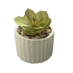 Mini succulente pot strie