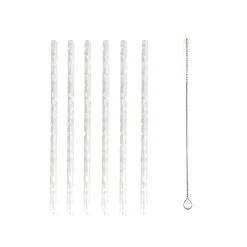 Paille en verre x6 + nettoyeur