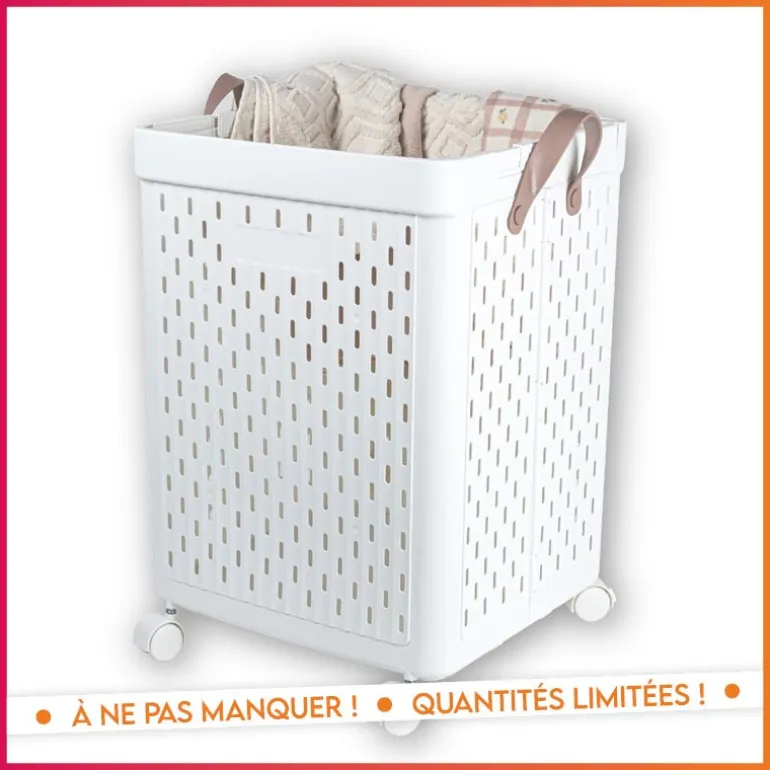 Paniere a linge a roulettes 67l