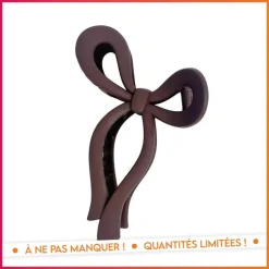 Pince cheveux noeud brown