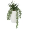 Plante pot visage