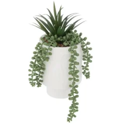 Plante pot visage