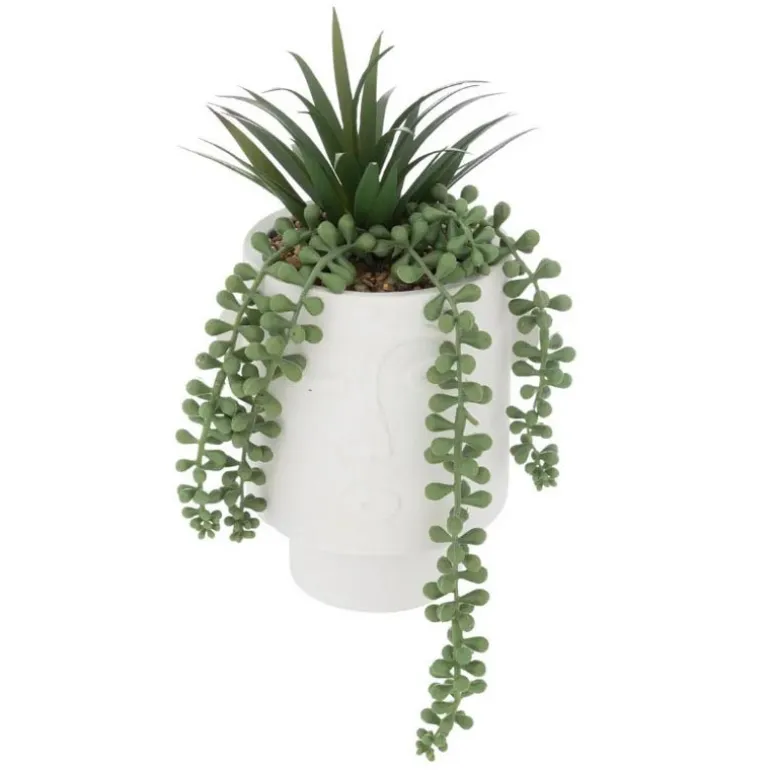 Plante pot visage