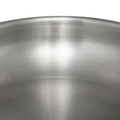 Poele 24cm inox resilience