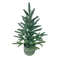Sapin en pot 45 cm