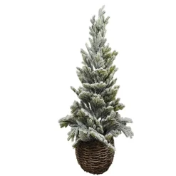 Sapin enneigne 61cm en pot rotti
