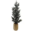 Sapin enneigne 58cm en pot en bo