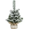 Sapin petit enneige imperial ave