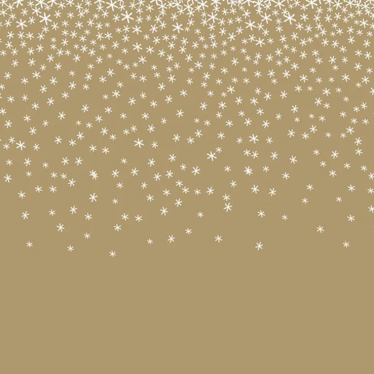 Serviette x20 40x40 3plis paille