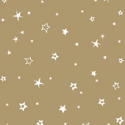 Serviette x50 33x33 2plis villag