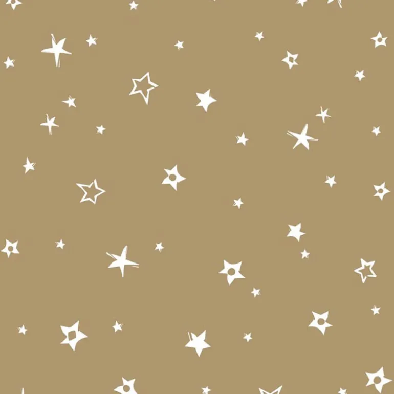 Serviette x50 33x33 2plis villag