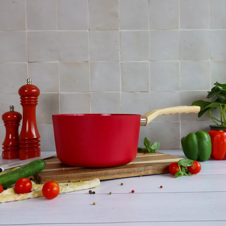 Set de deux casseroles 16 et18