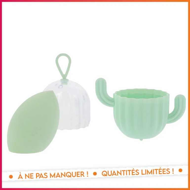 Set eponge et boite cactus