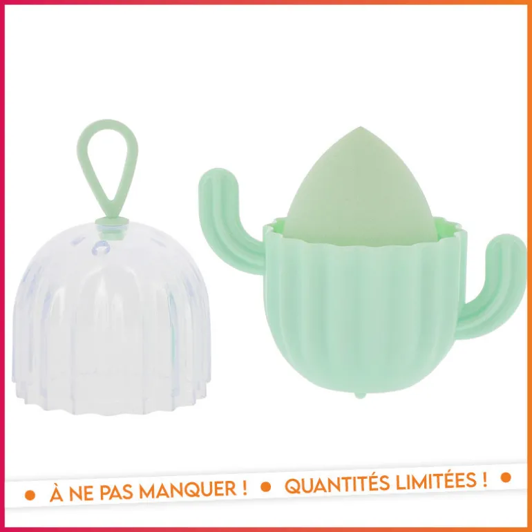 Set eponge et boite cactus