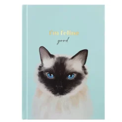 Set notebook et stylo