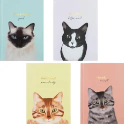 Set notebook et stylo