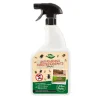 Spray anti fourmis et insectes r