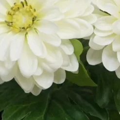 Zinnia artificiel en pot